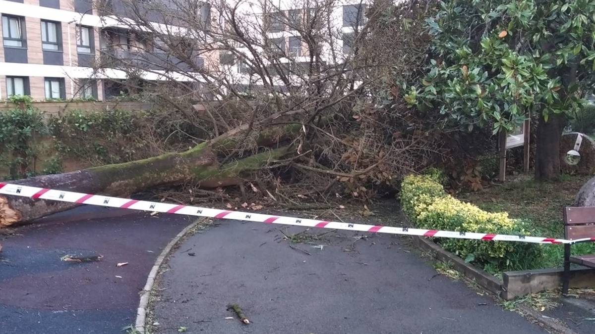 Haize bolada gogorrek begibistako arrastoa utzi dute bailarako herrietan