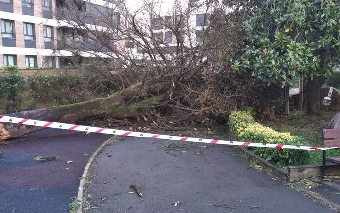 Haize bolada gogorrek begibistako arrastoa utzi dute bailarako herrietan