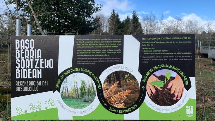 Ingurumen Zinegotziari gutuna, Ave Maria parkeko urmaelari buruzko jarraipena