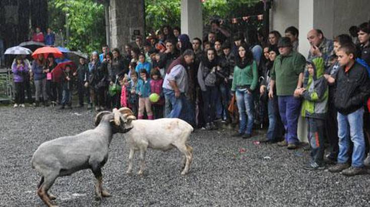 Bazkaria eta abere demak 
mugituko du jendea, azken egunean