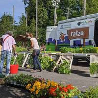 Furgobaratza eta Baratzekotako gaixotasun eta izurriak