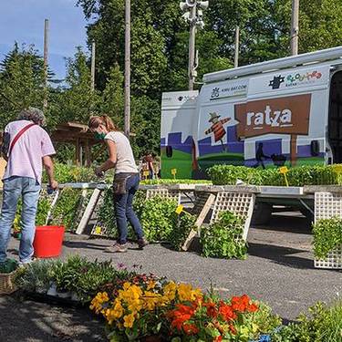 Furgobaratza eta Baratzekotako gaixotasun eta izurriak
