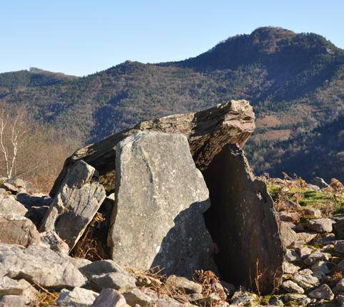 Txotx garaian, menu berezia: 
mendibuelta, sagardogintza eta otordua