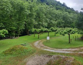 Tailerra gaur, Ugaldetxon