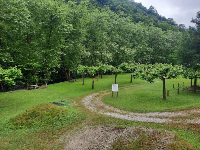 Tailerra gaur, Ugaldetxon