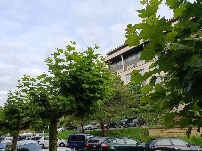 [EGURALDIA] Ostarteak ikusiko ditugu datozen bi egunetan