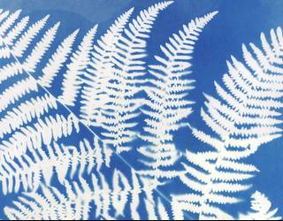 Zianotipia tailerra eskainiko du Nagore Legarretak apirilaren 20an