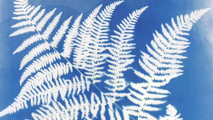 Zianotipia tailerra eskainiko du Nagore Legarretak apirilaren 20an