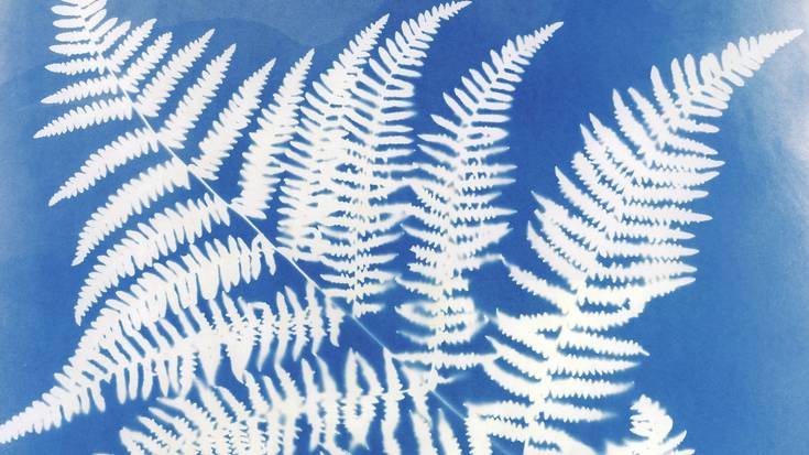 Zianotipia tailerra eskainiko du Nagore Legarretak apirilaren 20an