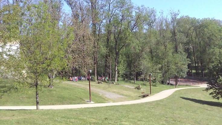 «Eskatu dugu Ave Maria parkeko basoa ixtea, badaezpada ere»