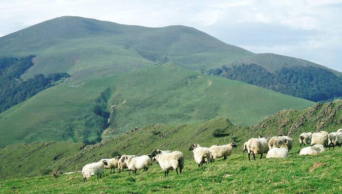Igandean, Okolin eta Saioara irteera
