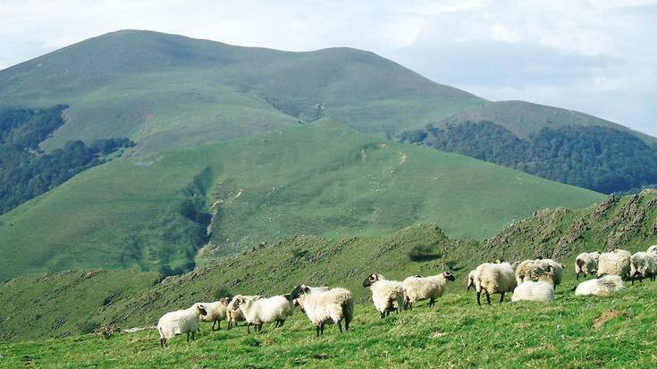 Igandean, Okolin eta Saioara irteera