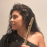 Nerea Goñi Ibañezen kontzertua