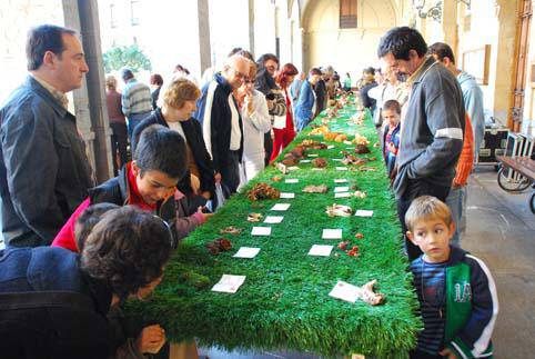 Gaur Urdiainera irteera eta bihar perretxikoen erakusketa 
Mikologi Jardunaldietan