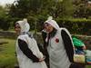 Ardi proba, Hernaniko Olinpiadetan