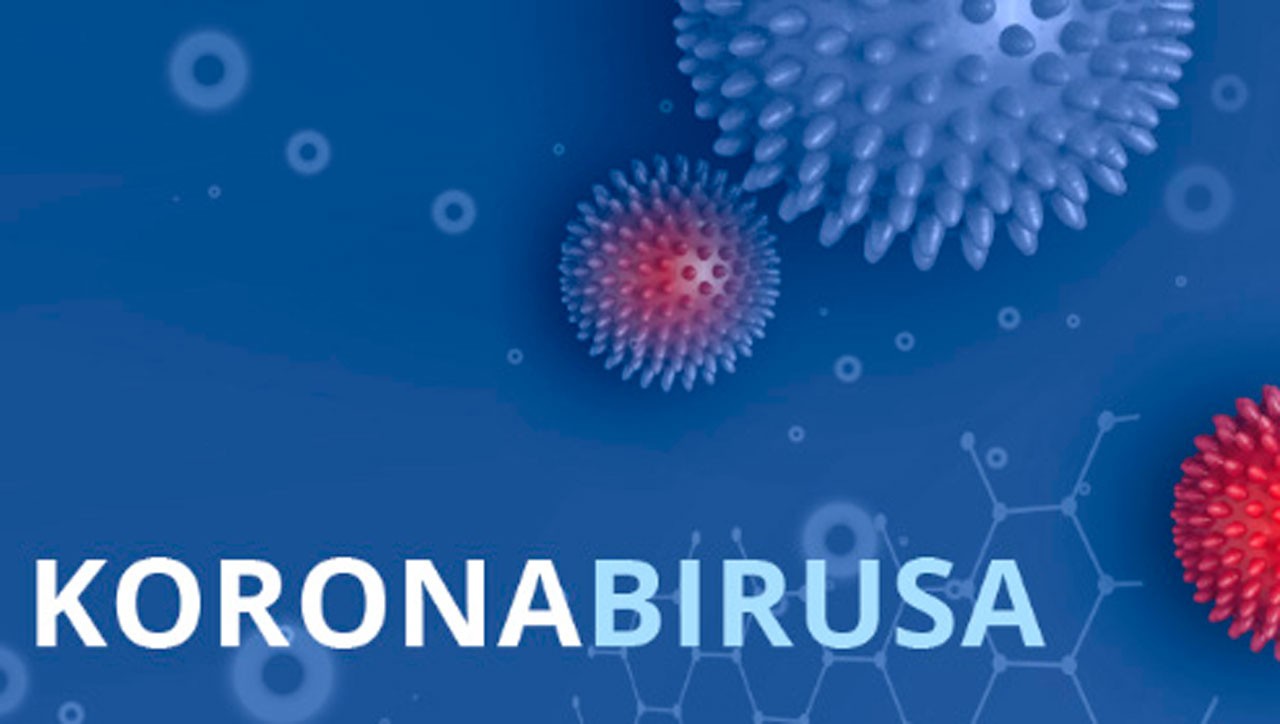Ekainaren 10eko datuak: Koronabirusa Euskal Herrian