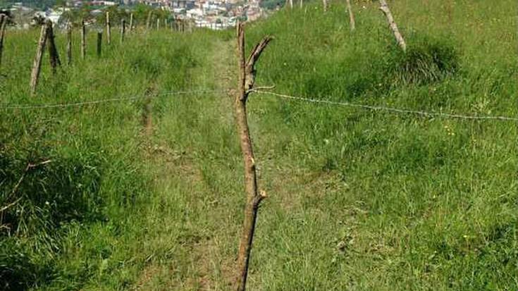 «Kablea lur pribatuan dago eta itxitura izateko asmoz jarri da»