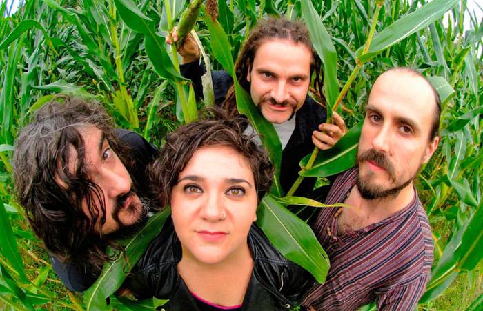 Zea Mays ikusteko sarrerak, gaurtik