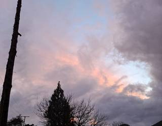 Bistitik gaurkuan...