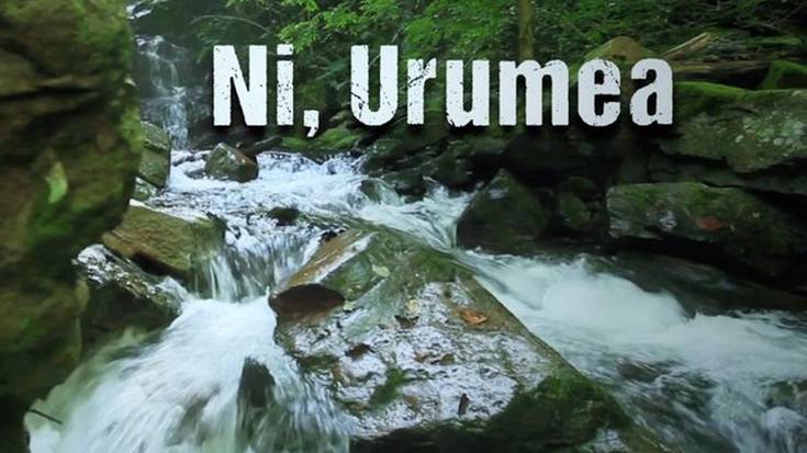 Ikusgai, bihar