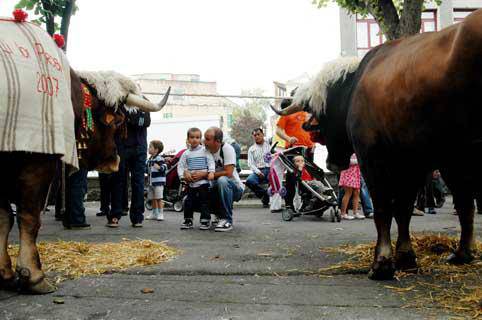 Zizak eta sagardoa, trikitixa eta dantza... Euskal Jaien azken egunean 