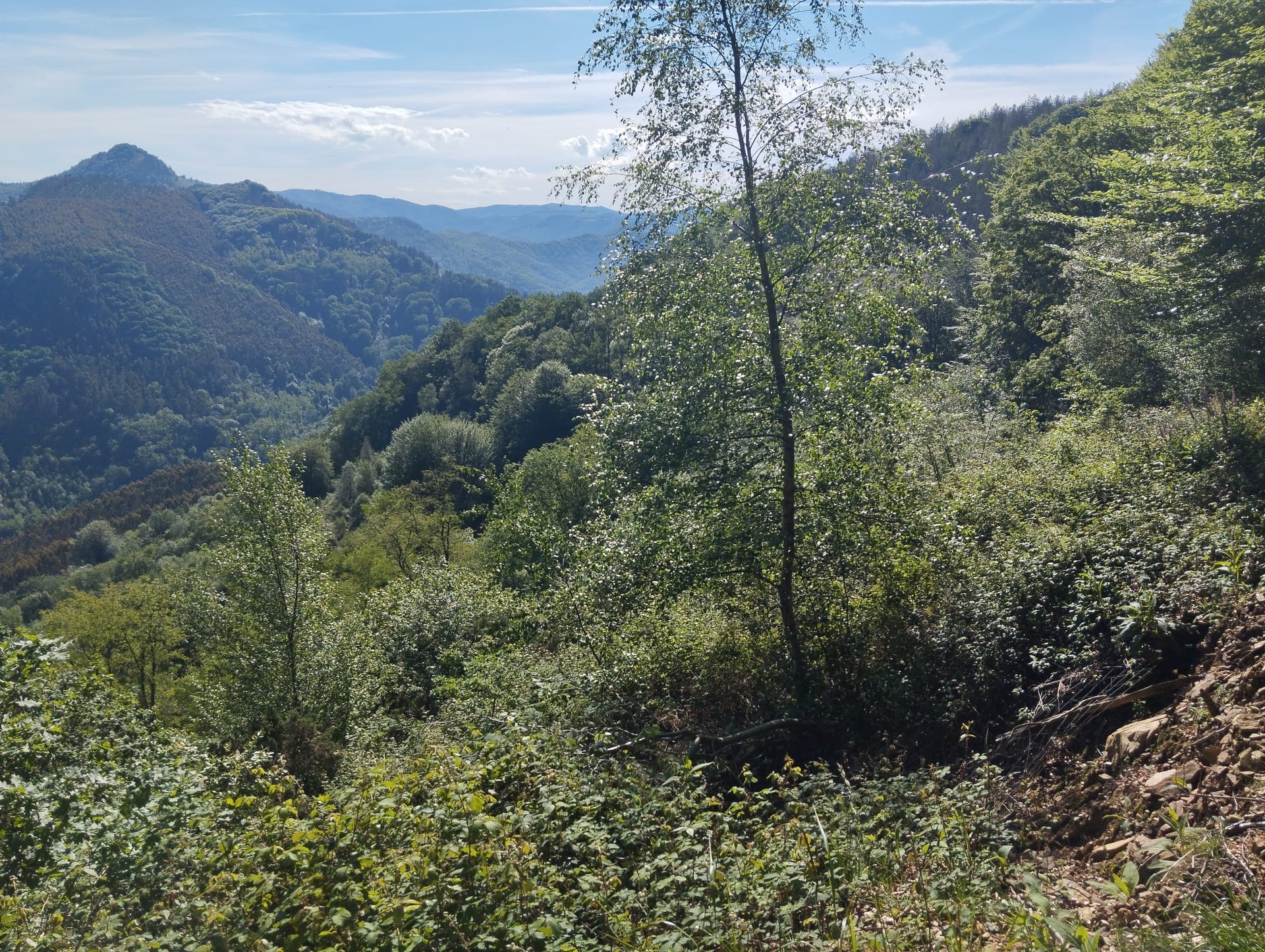 Ingurugiro Astea ospatzeko, Katamotzarrira irteera eta bertako basoa berreskuratzeari buruzko hitzaldia