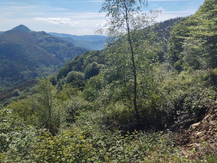 Ingurugiro Astea ospatzeko, Katamotzarrira irteera eta bertako basoa berreskuratzeari buruzko hitzaldia