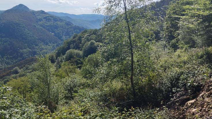 Ingurugiro Astea ospatzeko, Katamotzarrira irteera eta bertako basoa berreskuratzeari buruzko hitzaldia