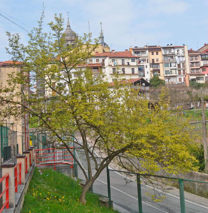 ‘Udaberriko modukoa’ izango da udaberria