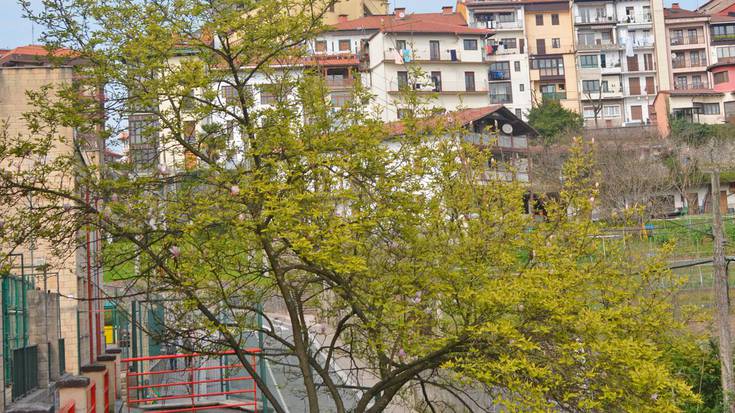 ‘Udaberriko modukoa’ izango da udaberria