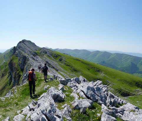 Aloña, Aizkorriren senide txikia