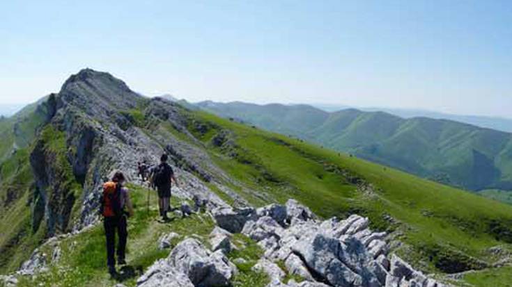 Aloña, Aizkorriren senide txikia