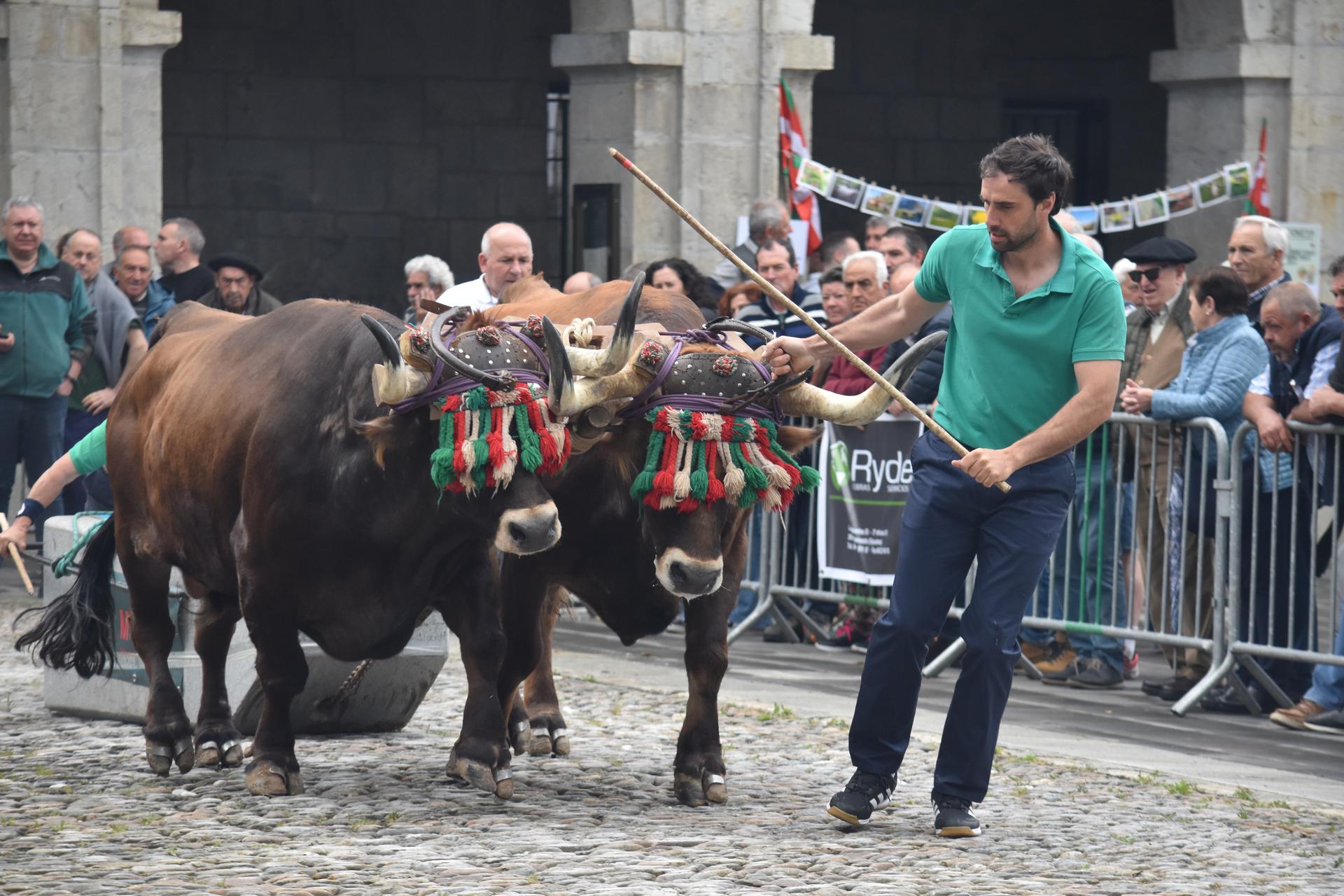 Jarduera ugari prestatu dituzte Hernanin eta Astigarragan San Isidro eguna ospatzeko