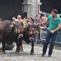 Lurraldia: San Isidro Eguna