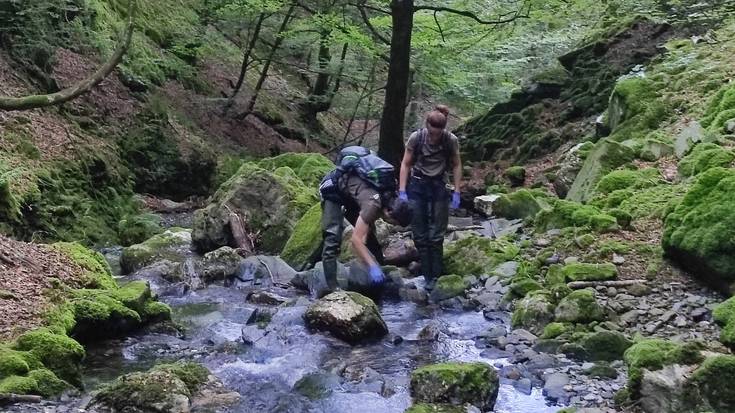 Bailarako basoak protagonista gaur, 'Urumea zena eta dena' hitzaldi zikloan