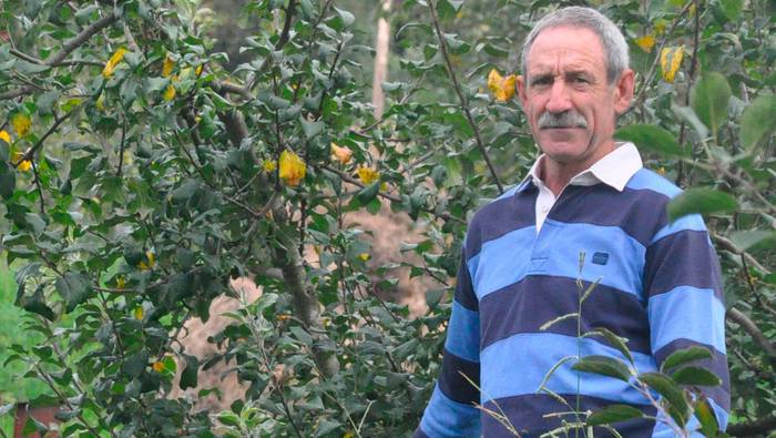 «Sagardo komertziala egitea bilatzen da orain, denek edateko modukoa»