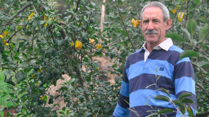 «Sagardo komertziala egitea bilatzen da orain, denek edateko modukoa»