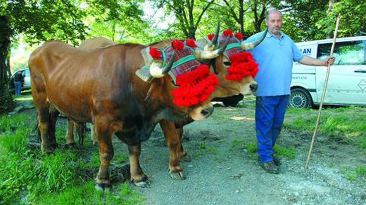 Idi dema bihar Gudarien plazan, 
urte askoan herrian izan gabeko ikuskizuna