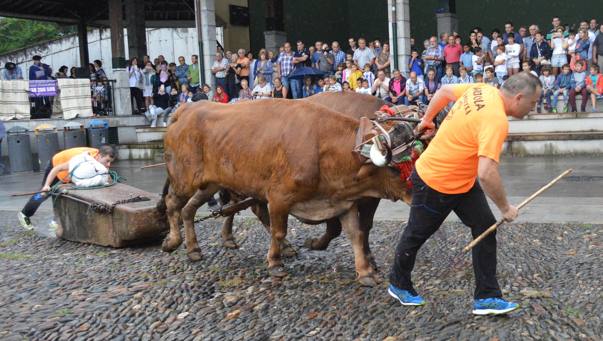 Santa Ana eguneko egitaraua Astigarragan