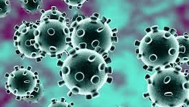 Pandemia hasi zenetik, Aranon positibo bakarra eta Goizuetan bi
