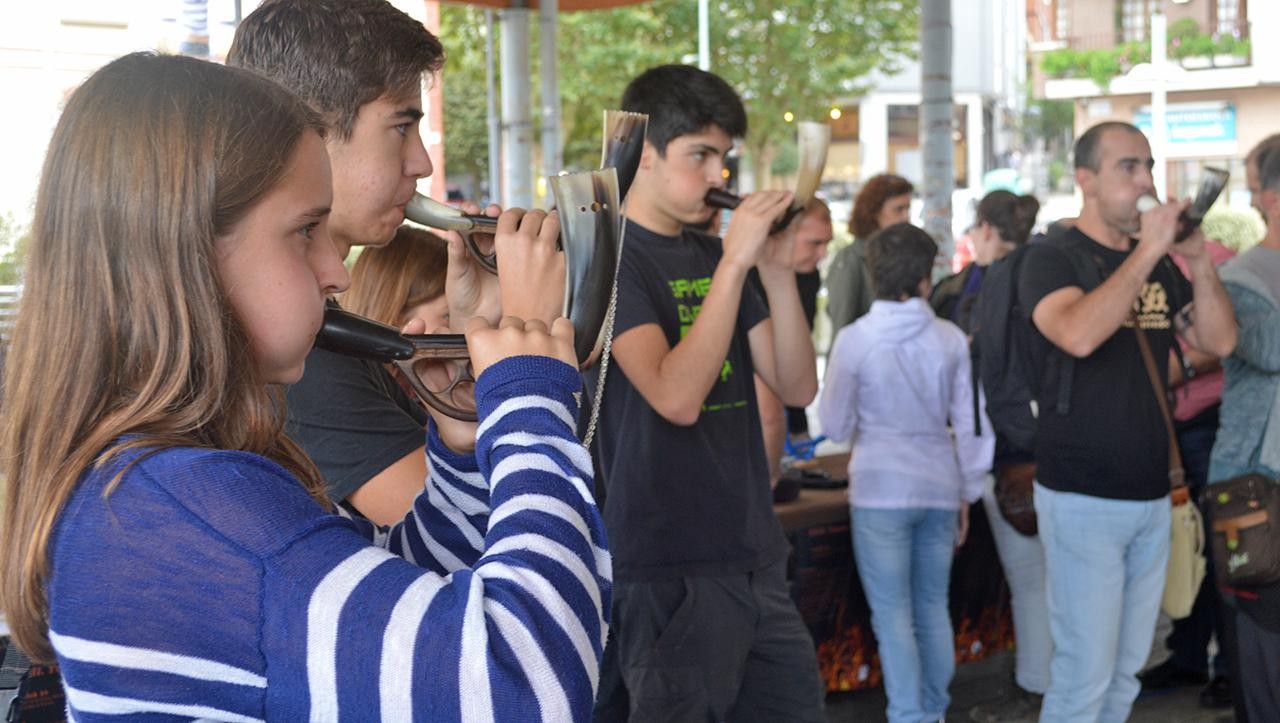 Plaza libreak, Musika Eskolako ikastaro batzuetan