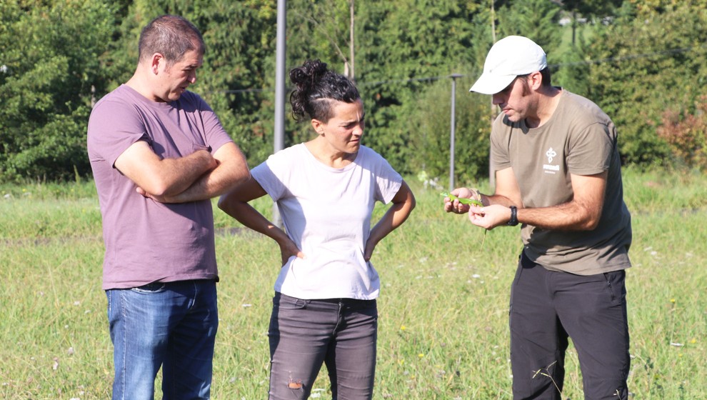BiodiBertso ibilbidea egingo dute gaur goizean, Kaxkoan barrena