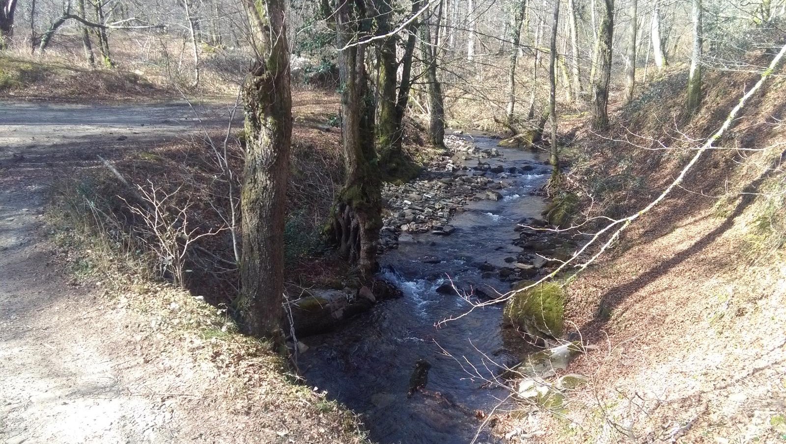 Otsailaren 13an egingo du hurrengo irteera Arainburuk, Sasaingo erreka inguratuz