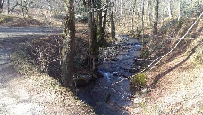 Otsailaren 13an egingo du hurrengo irteera Arainburuk, Sasaingo erreka inguratuz