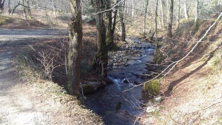 Otsailaren 13an egingo du hurrengo irteera Arainburuk, Sasaingo erreka inguratuz