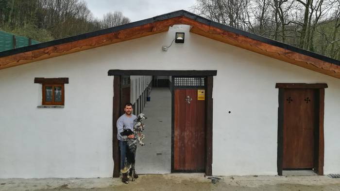 Oporraldian edo urte osoan, txakurra esku onenetan