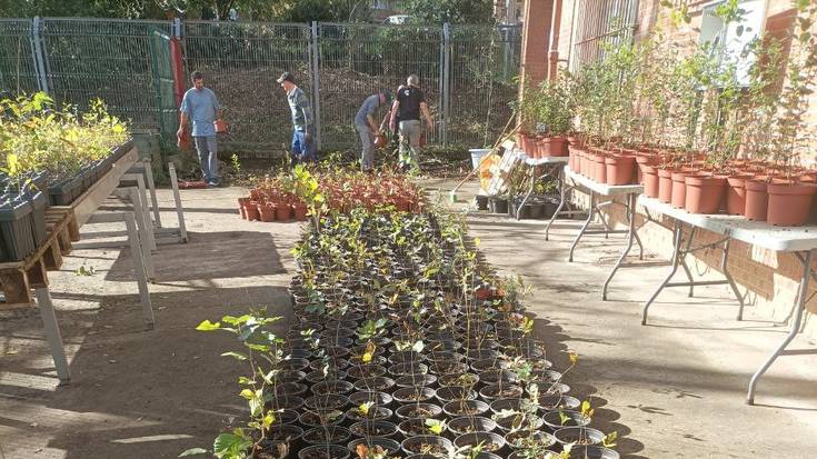 Auzolana egingo dute igande honetan, haziak erein eta zuhaixkak aldatzeko