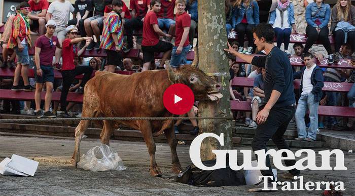«Helburua ez da animaliekiko tratu txarra salatzea; baizik eta erabilera hutsa salatzea»