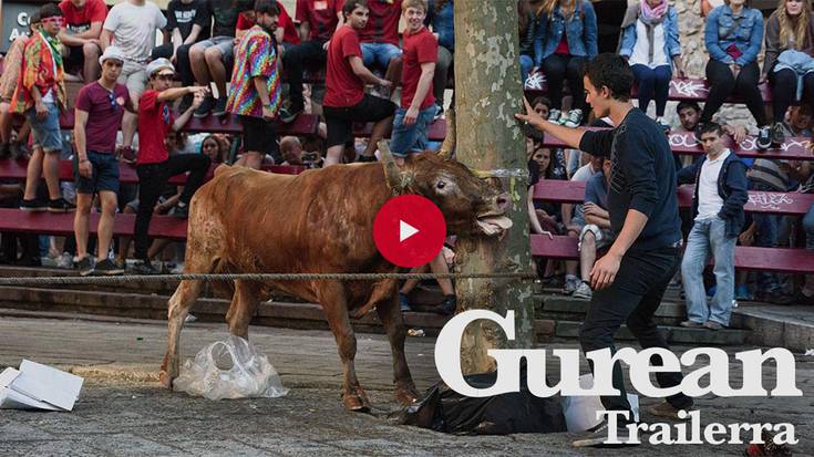 «Helburua ez da animaliekiko tratu txarra salatzea; baizik eta erabilera hutsa salatzea»