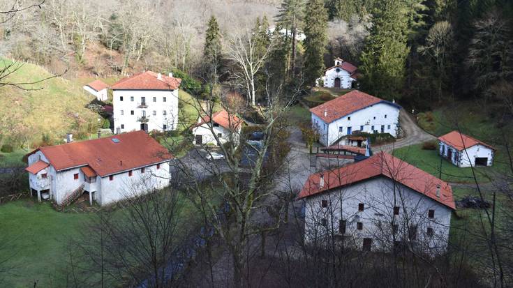 Gizon bat hil da Artikutzan, zuhaitzak mozten ari zela